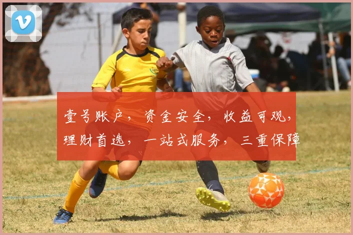 壹号账户，资金安全，收益可观，理财首选，一站式服务，三重保障，值得信赖。