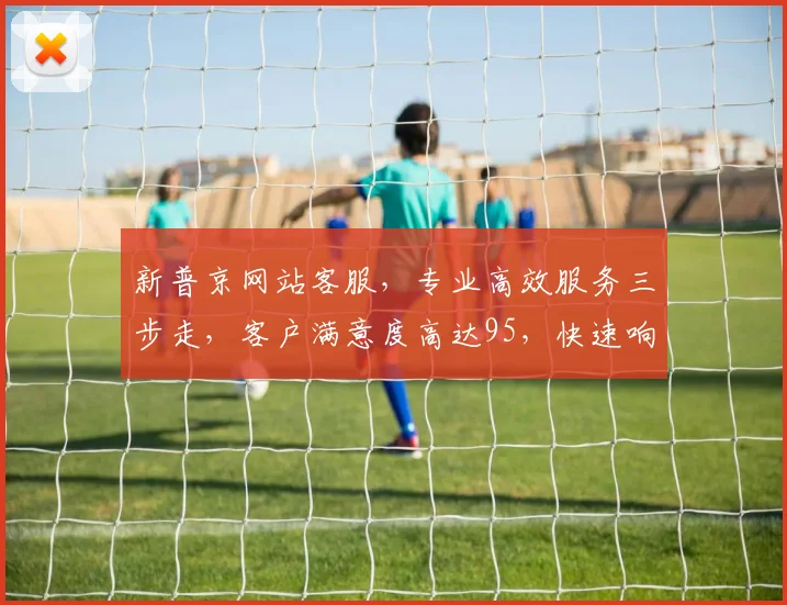 新普京网站客服，专业高效服务三步走，客户满意度高达95，快速响应，全程无忧，值得信赖，三重保障