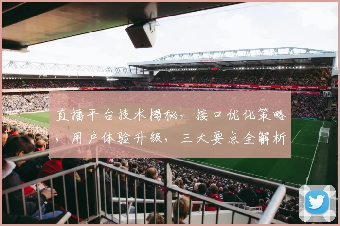 直播平台技术揭秘，接口优化策略，用户体验升级，三大要点全解析