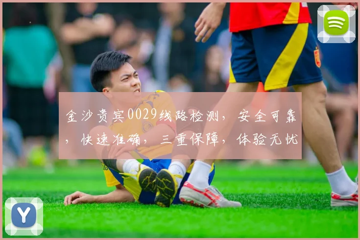 金沙贵宾0029线路检测，安全可靠，快速准确，三重保障，体验无忧，必看攻略
