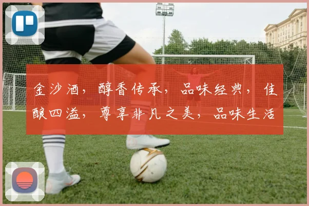 金沙酒，醇香传承，品味经典，佳酿四溢，尊享非凡之美，品味生活真谛。