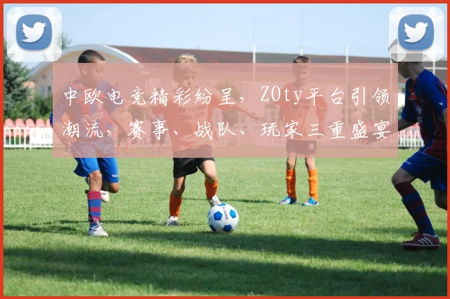 中欧电竞精彩纷呈，ZOty平台引领潮流，赛事、战队、玩家三重盛宴，不容错过